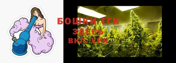 таблы Богородицк